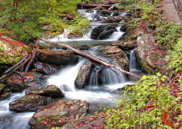 海伦的森林瀑布格鲁吉亚 — 图库照片