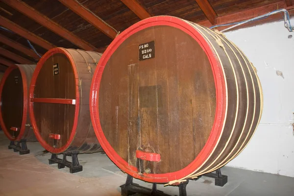 A velha adega. Barris de vinho na adega — Fotografia de Stock
