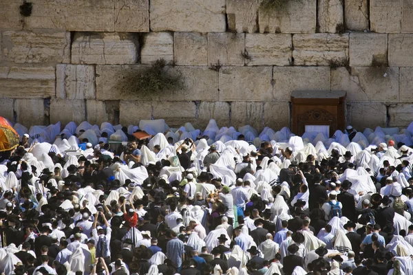 西部の壁でユダヤ人の祈りエルサレム イスラエル — ストック写真