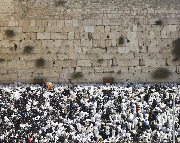 Sukkot tatil jeru yılında Batı duvarı Cohen nimet — Stok fotoğraf