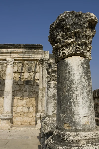 Synagoge 在迦百农的废墟 — 图库照片