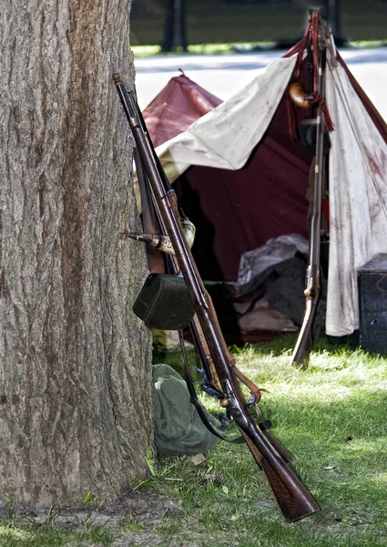 Оружие старого стиля, опирающееся на дерево — стоковое фото
