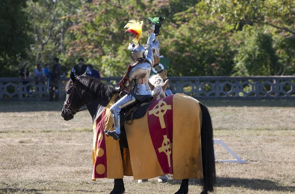 Μεσαιωνικό άλογο — Φωτογραφία Αρχείου