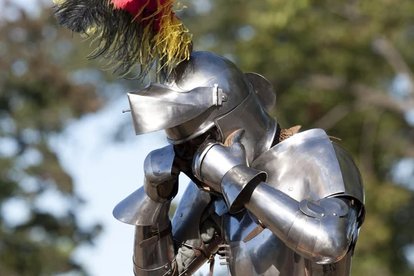 Medieval Knight — Stock Photo, Image
