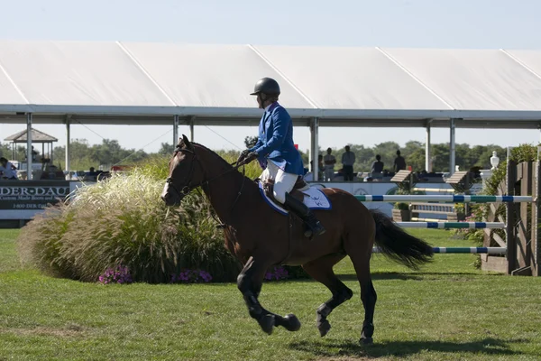 Show jumping — Stock Photo, Image