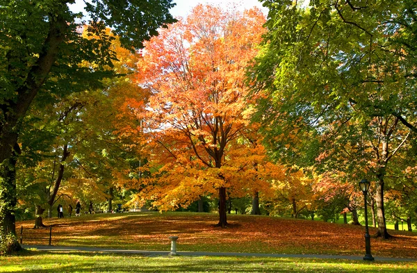 가을 공원 — 스톡 사진