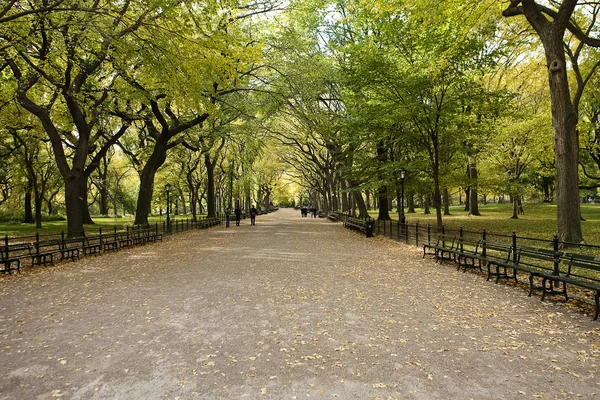 Κέντρο πάρκο της Νέας Υόρκης. όμορφο πάρκο, στην όμορφη — Φωτογραφία Αρχείου