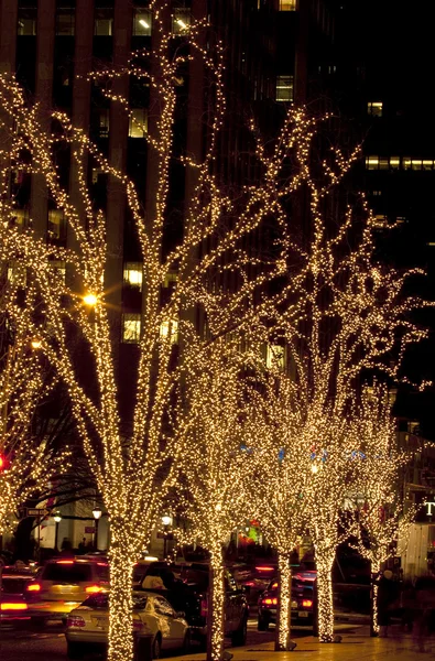 Christmas. Illuminated trees. — Stock Photo, Image