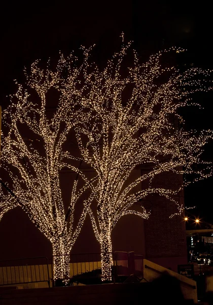 stock image Christmas. Illuminated trees.