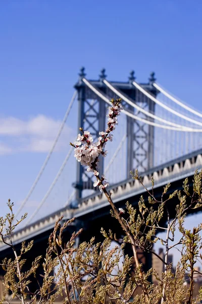 Γέφυρα του Μανχάταν. Νέα Υόρκη — Stock fotografie