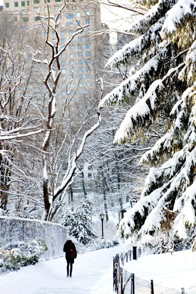 Central park, new york. vacker park i vackra stad. — Stockfoto