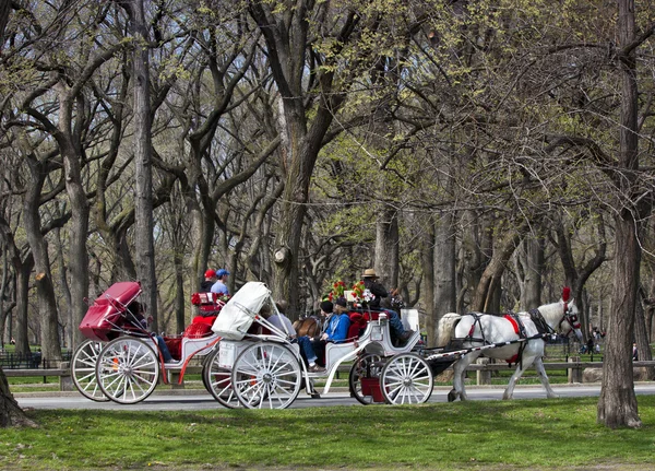 Central Park, New York. — Stockfoto