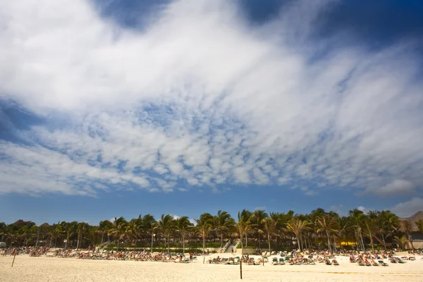 Strand i Västindien — Stockfoto