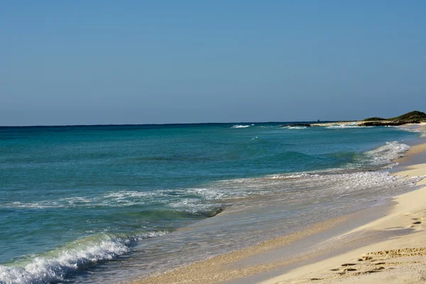 Caribbean beach on clear day — Stock Photo, Image