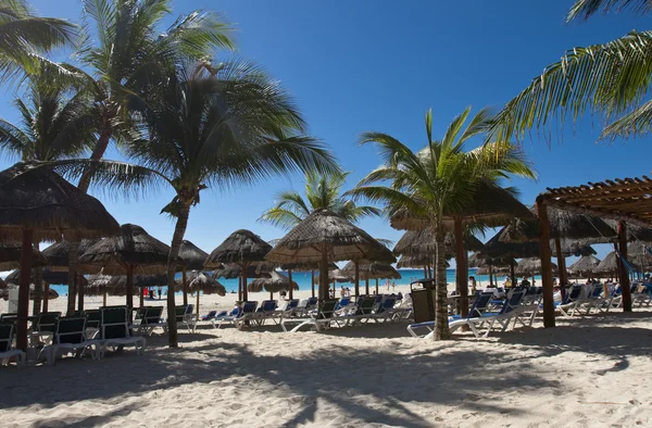Schöner karibischer Strand — Stockfoto