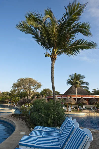 Silla de sol en los resorts junto a la piscina —  Fotos de Stock