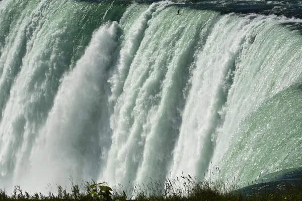 Le cascate del Niagara — Foto Stock