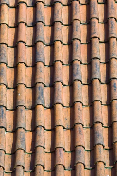 stock image Prague. Red roofs- Background