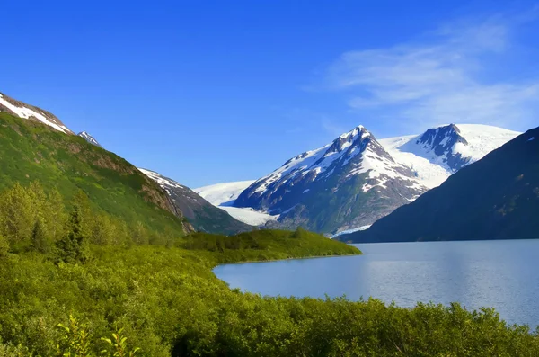 Удивительная Аляска Стоковая Картинка