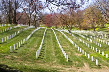 Arlington mezarlığı. Washington dc