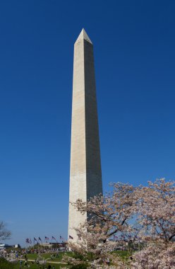 Washington Anıtı güneşli