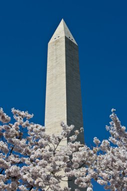 Washington Anıtı güneşli