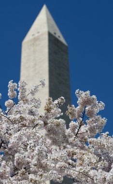 Washington Anıtı güneşli