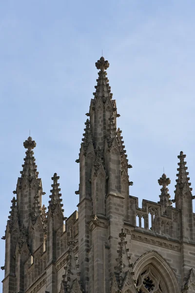 Ulusal Katedrali — Stok fotoğraf