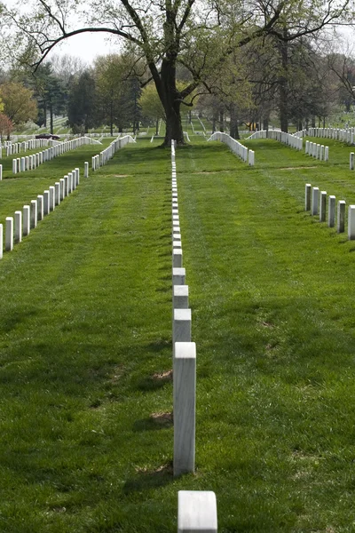 Nationalfriedhof von Arlington — Stockfoto