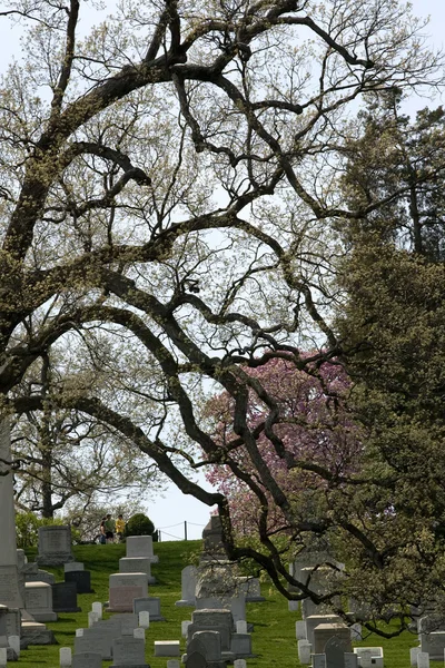 アーリントン国立墓地 — ストック写真