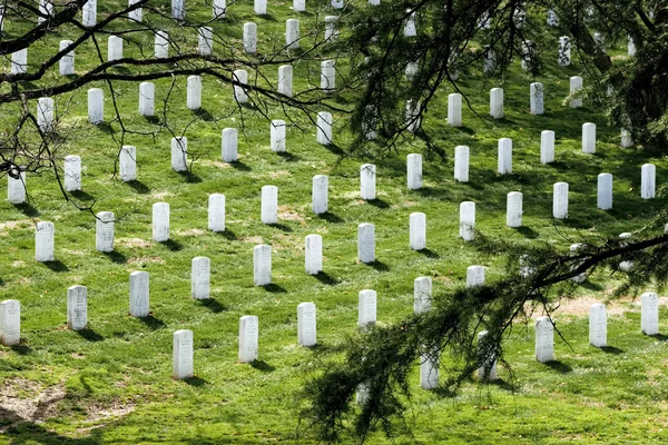 알링턴 국립 묘지 — 스톡 사진