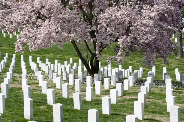 Arlington nationella kyrkogård — Stockfoto