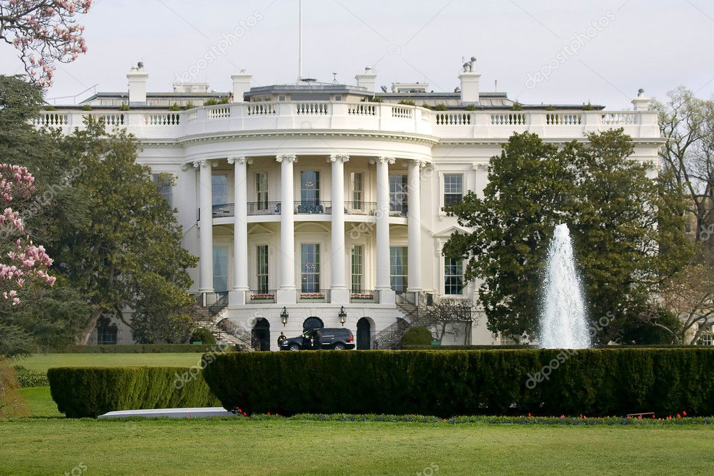 Magnolia blossom tree in front of White House — Stock Photo © Mishella
