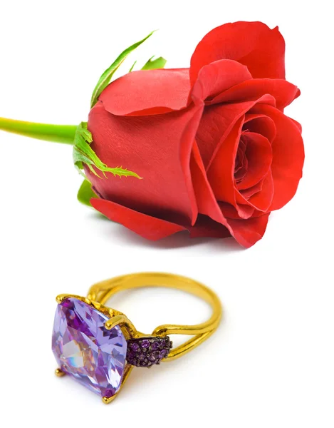 Τριαντάφυλλο και χρυσό δαχτυλίδι — Φωτογραφία Αρχείου