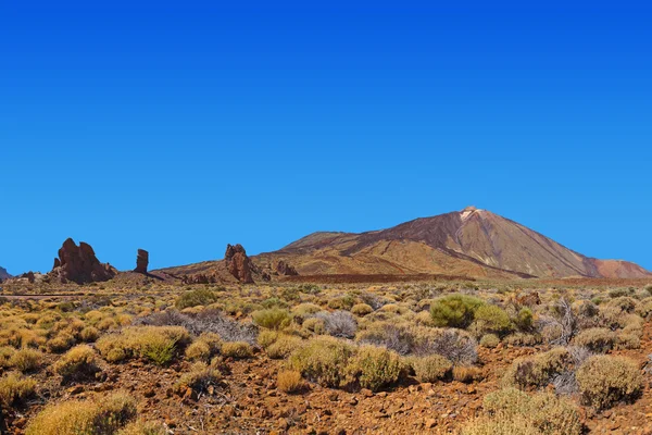 Vulkan Teide auf der Insel Teneriffa - Kanarienvogel — Stockfoto