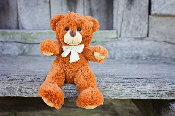 Plush Teddy Bear toy — Stock Photo, Image