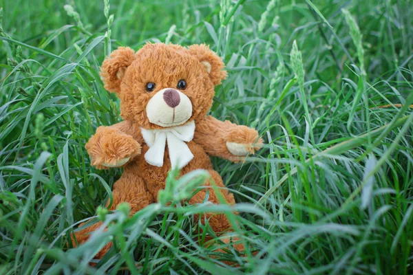 毛绒泰迪熊玩具 — 图库照片