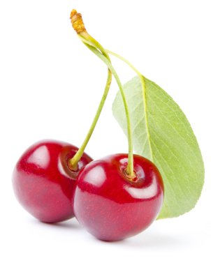 Cherry clipart