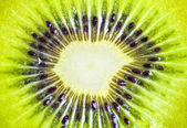 Close-Up Nézd a kiwi