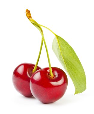 Cherry clipart