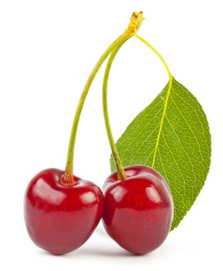 Cherry clipart