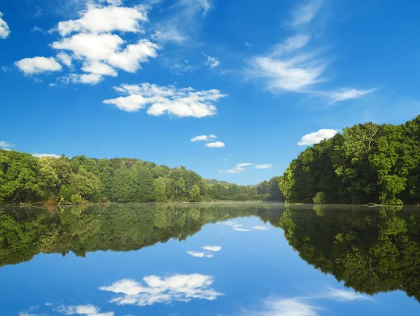 Lake in the wood — Stock Photo, Image