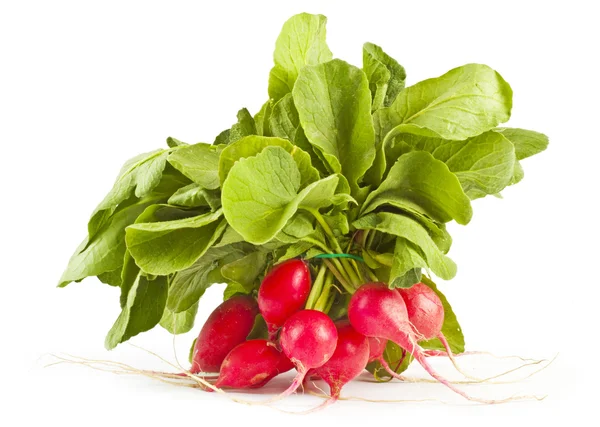 stock image Radish