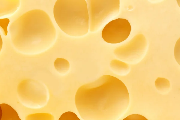 Cheese — Stock Photo, Image