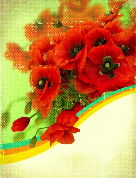 Poppy flowers on retro paper texture.Card for text — 스톡 사진