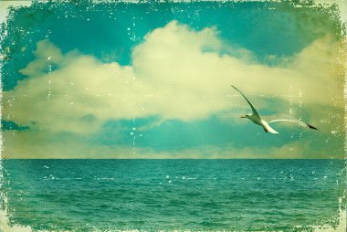 Vintage nature seascape with seagull in blue sky on old paper. clipart