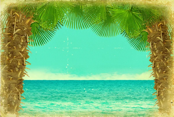 Винтажная открытка с пальмами и на старом бумажном фоне — стоковое фото