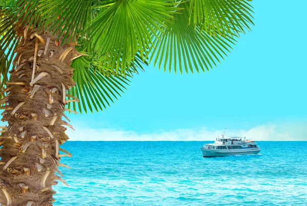 Cruise Gemi ve palm.nature deniz manzarası kolaj — Stok fotoğraf