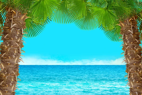 Nature card with palms and seascape background — 스톡 사진