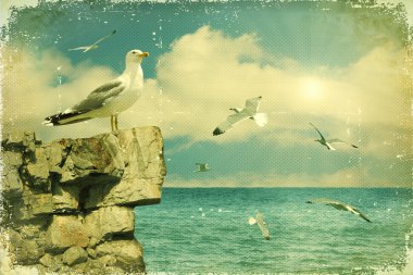 Seagulls in the sky.Vintage nature seascape background clipart